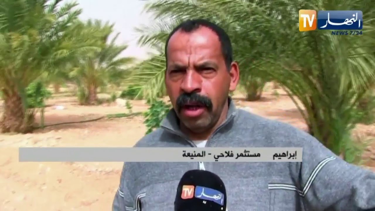 المنيعة : فلاحون يحققون دورة إنتاج متكاملة  الربط بالكهرباء الهاجس الوحيد