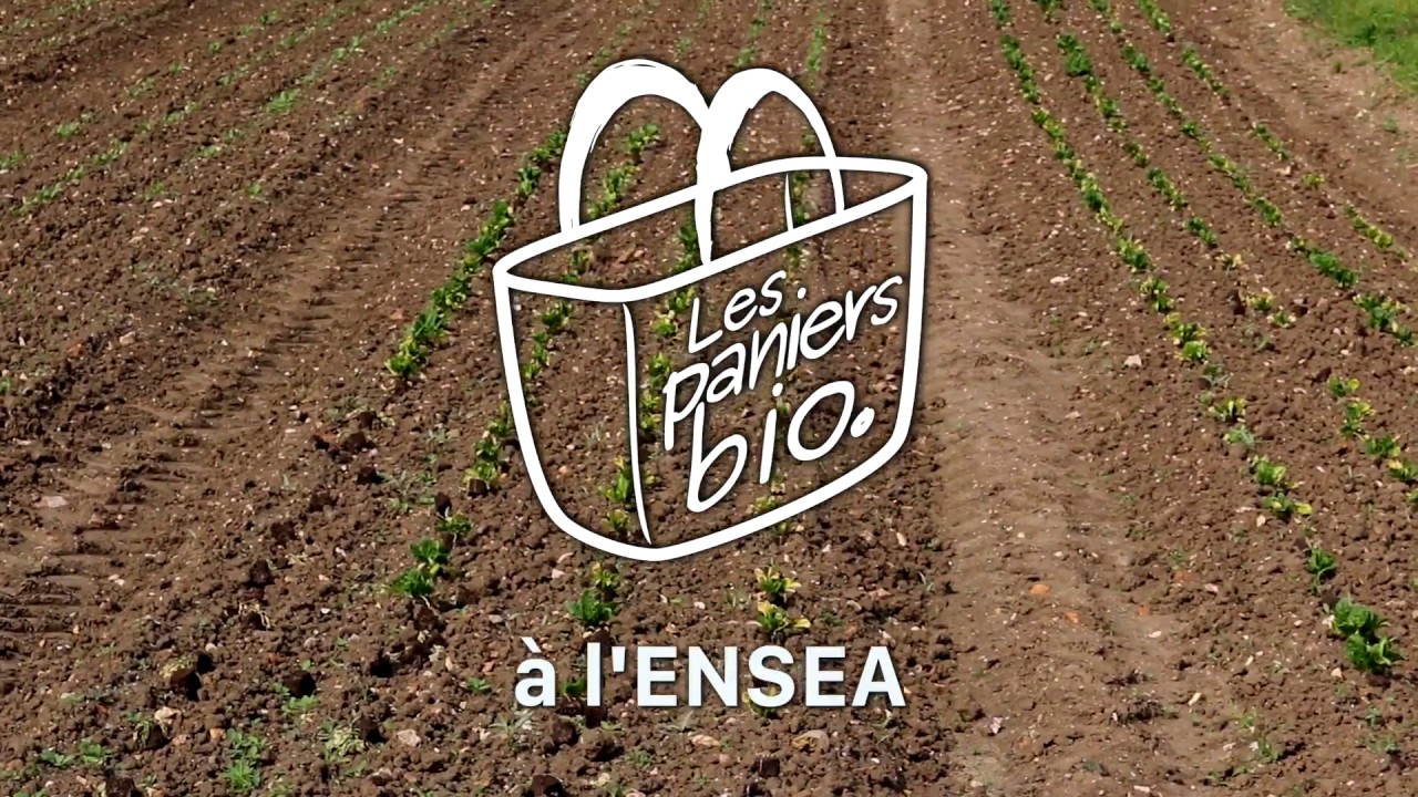 Les Paniers Bio. &agrave; l'ENSEA - Pr&eacute;sentation
