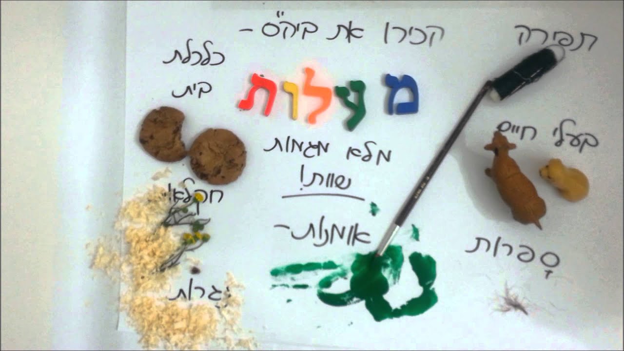 קליפ שירות לאומי ביהס מעלות אשדוד
