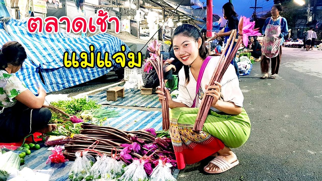 ค้นหาวิถีชนเผ่า EP.2 ตลาดเช้าแม่แจ่มบรรยากาศดีของขายวางกับพื้นแนวบ้านๆราคาไม่แพง