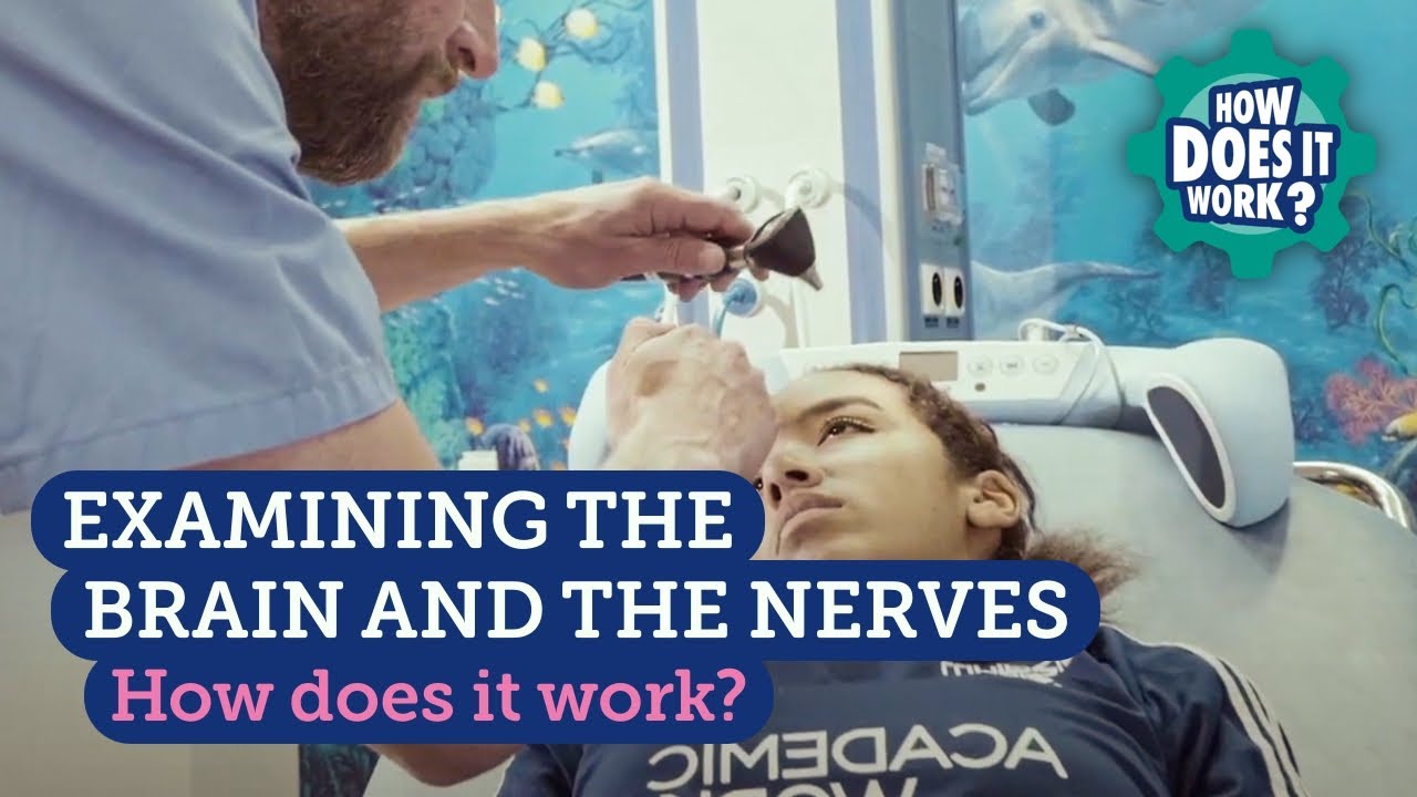 Examining the Brain and the Nerves