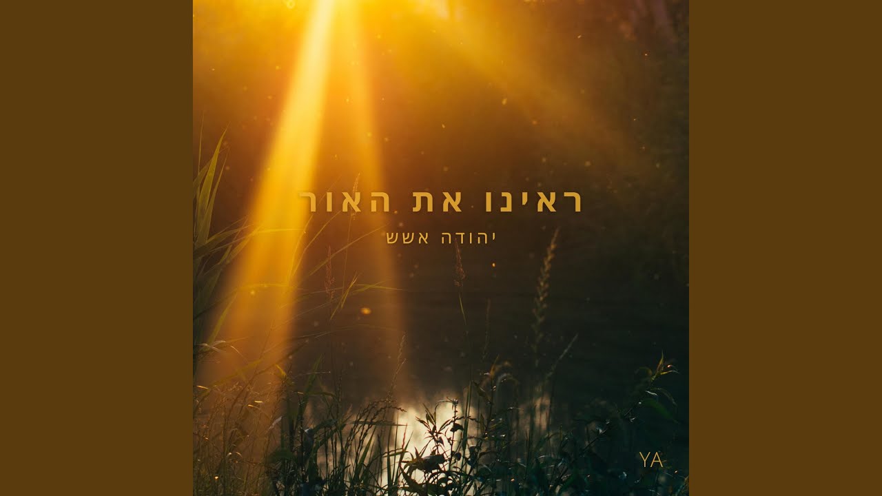 ראינו את האור
