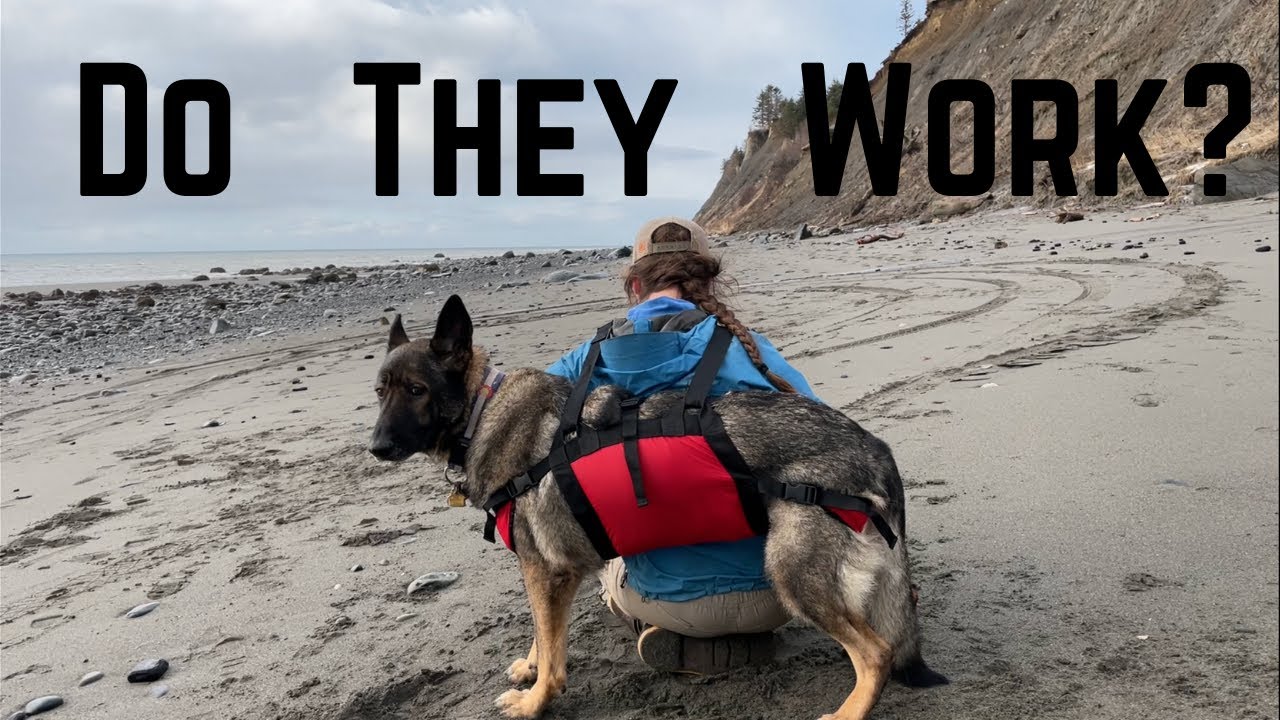 Do Emergency Carry Harnesses Actually Work? | Ruff Rescue Gear Review