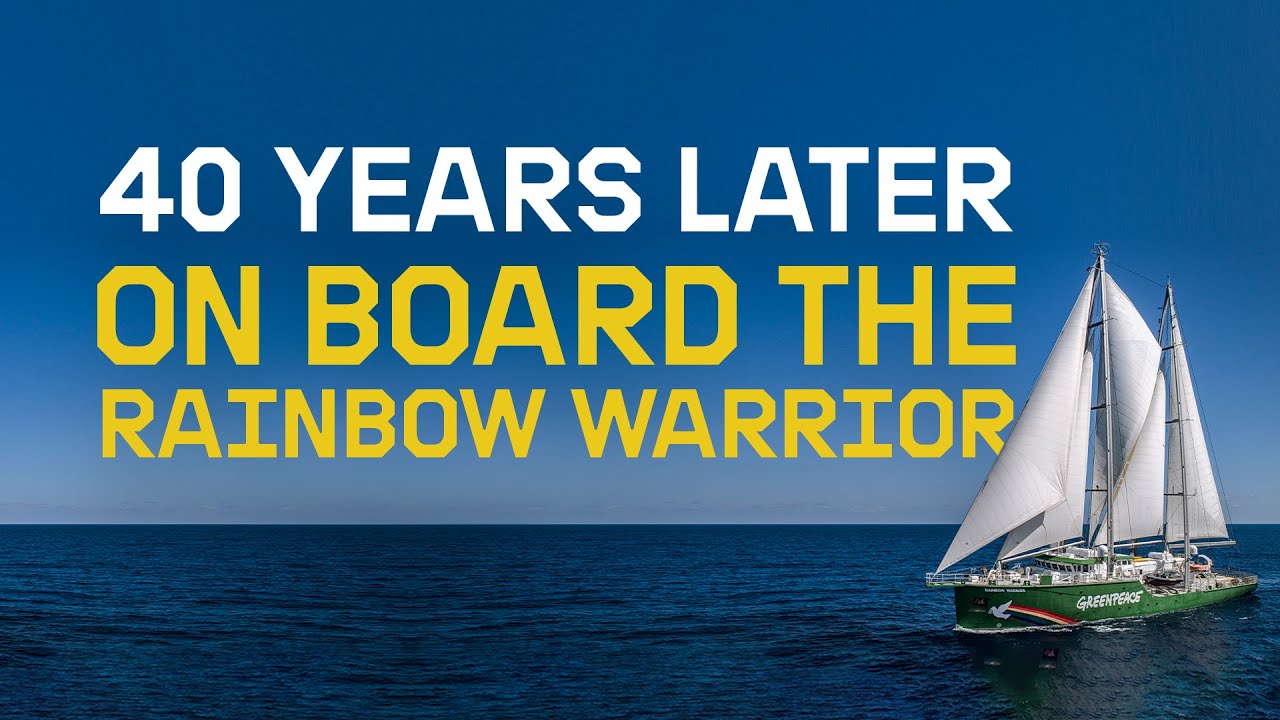 LIVE: Virtual Tour of the Rainbow Warrior