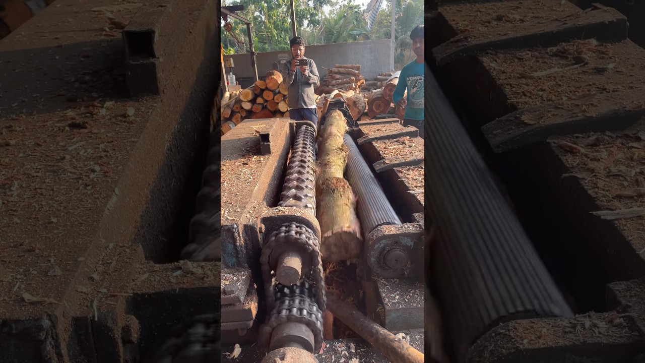 Plywood debarking log wood peeling 👌😱|#sawmill #peeling #machine