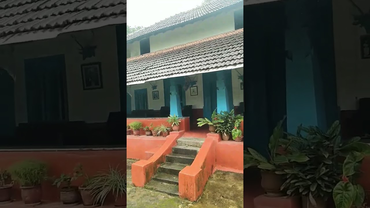 Pandanda Ainmane #kodagu #rain