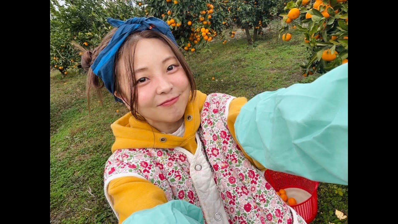 귤 tangerine 🍊