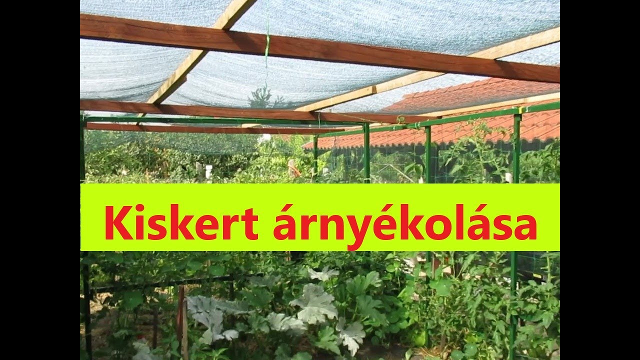 Eredményes védekezés a perzselő nap ellen / Zoltán kertje