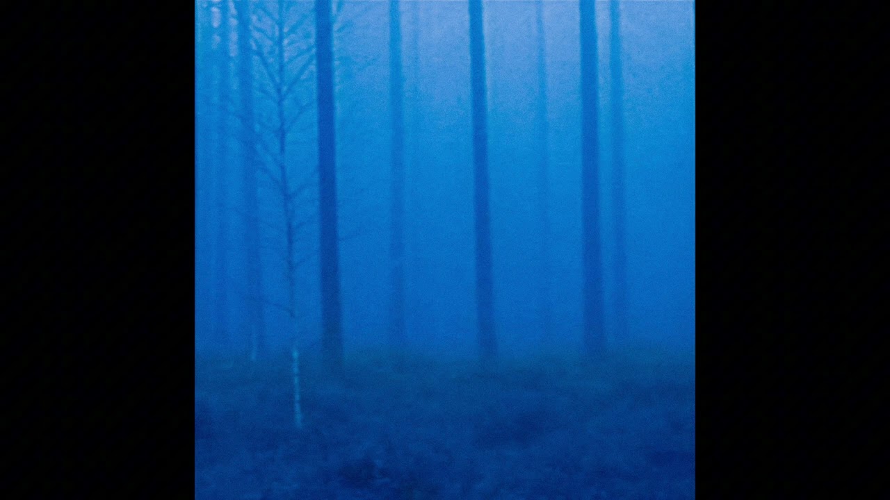 where?? - Absence