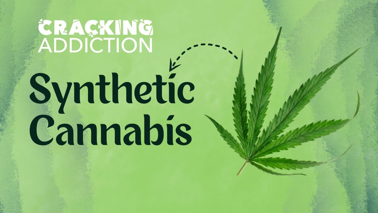What is Synthetic Cannabis (Fake Weed)? Effects, Dangers & Why It&rsquo;s Deadly | MedHeads Explains