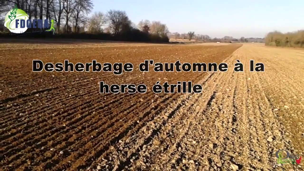 DESHERBAGE MECANIQUE - Herse étrille en post-semis/pré-levée