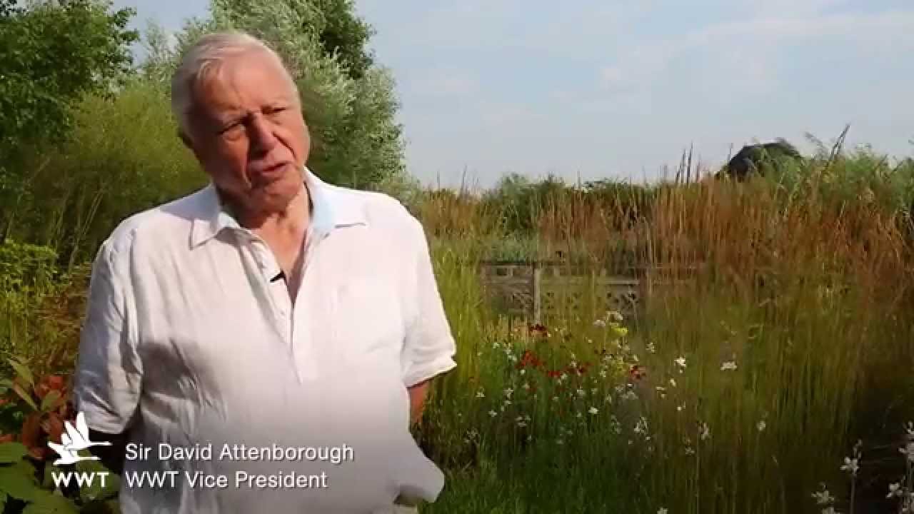 WWT - Sir David Attenborough on Wetlands