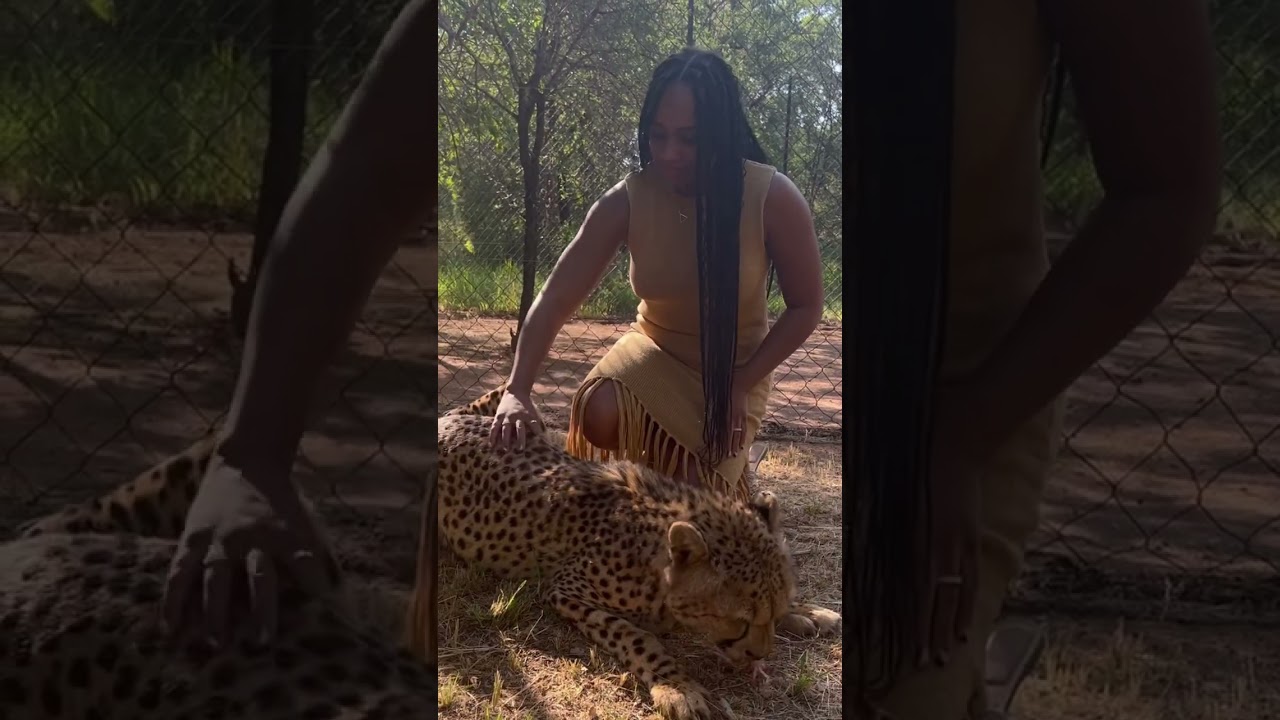 Ukutula Lodge, South Africa Animal interaction #travel