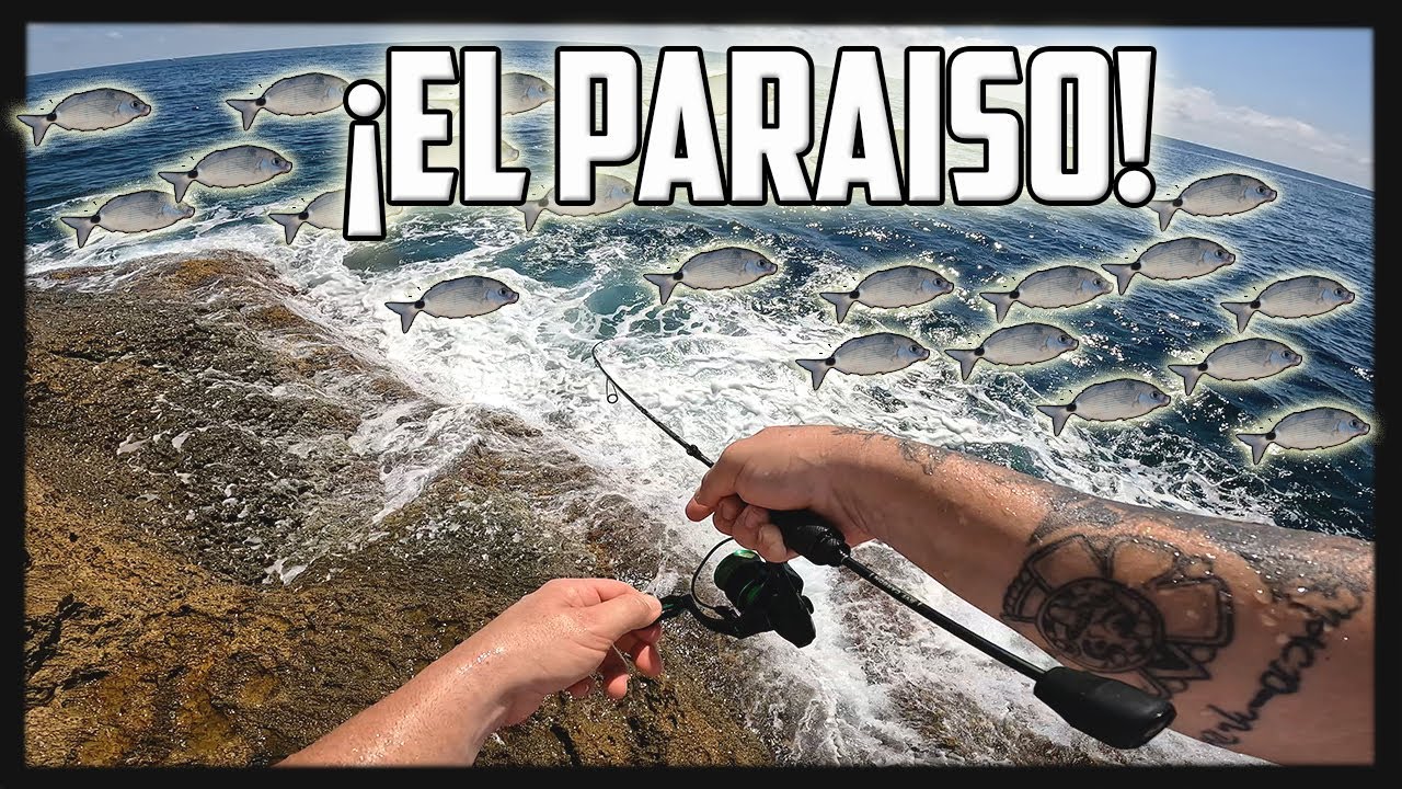 NO PARAN DE PICAR! Esta ISLA es el PARAÍSO de ESTA ESPECIE!!! |ElPOPPERfisher |Salida 67
