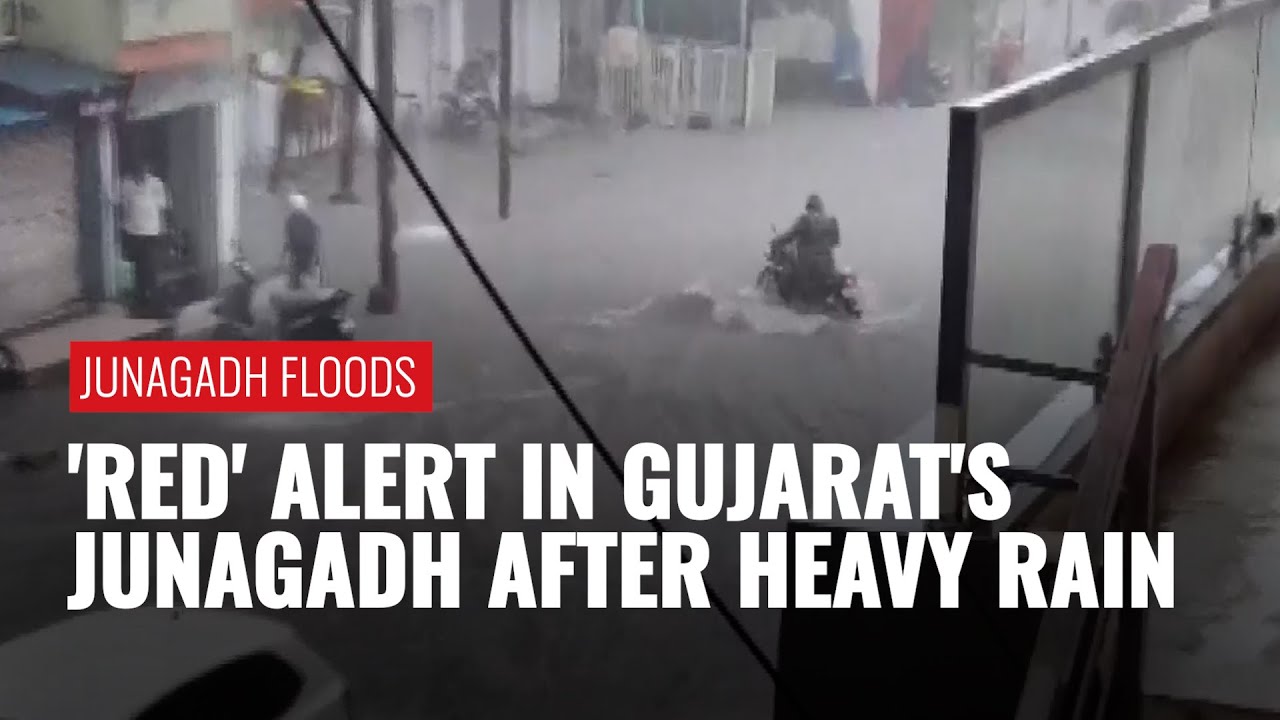 Flash Floods In Gujarat's Junagadh Sweep Away Cars, Animals, And Handcarts; IMD Issues Red Alert
