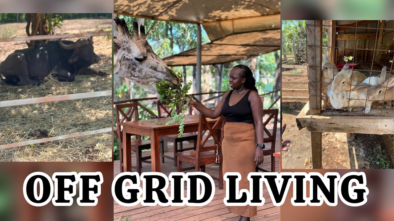 AFRICAN VILLAGE: Living OFFGRID IN KENYA, AFRICA 🇰🇪 AS A TUTOR.