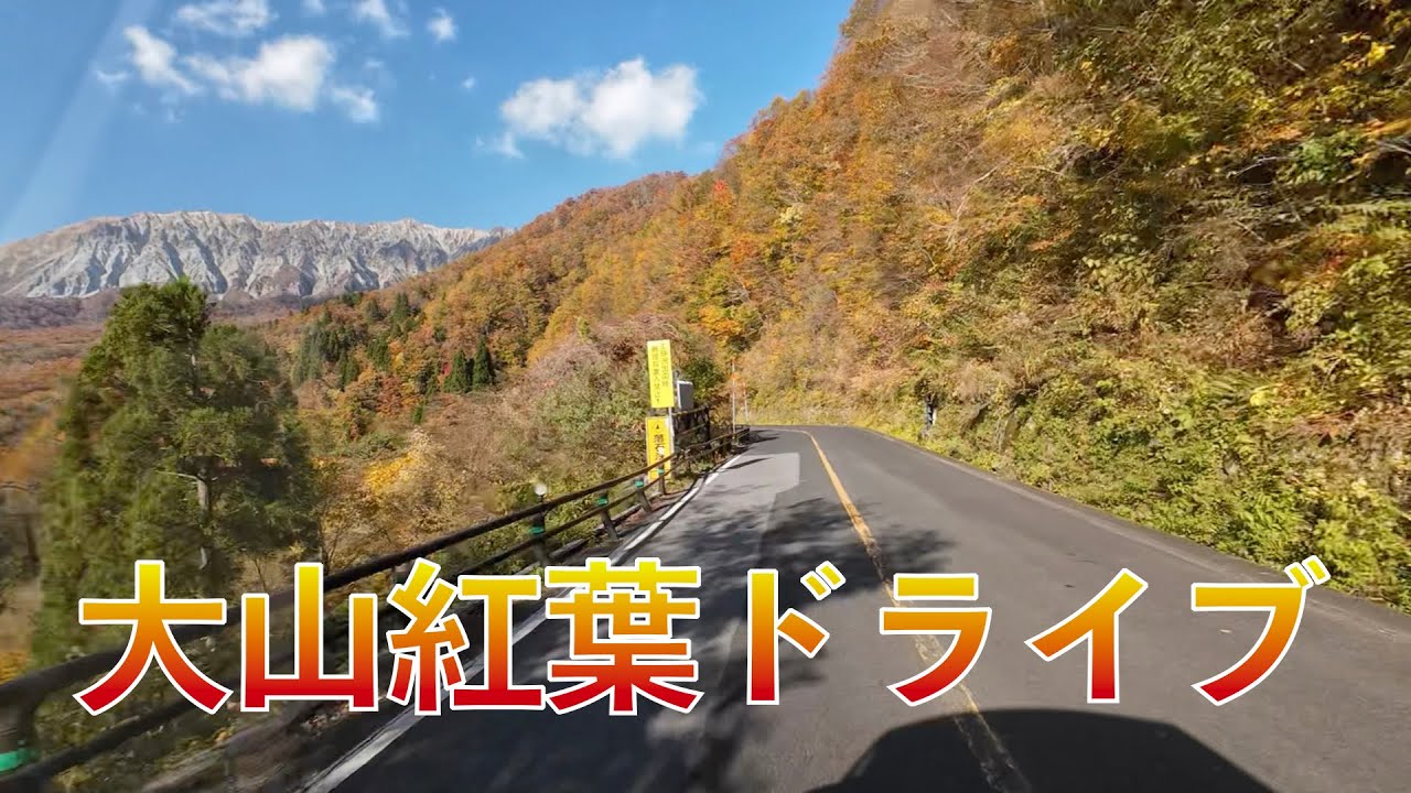 大山紅葉ドライブ   4K