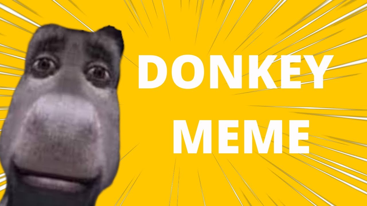 Donkey staring meme