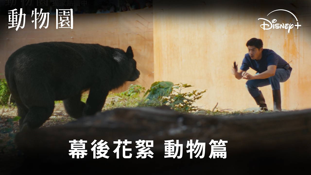 療癒系浪漫職人台劇 《#動物園》幕後花絮_動物篇 | Disney+ 獨家熱播中