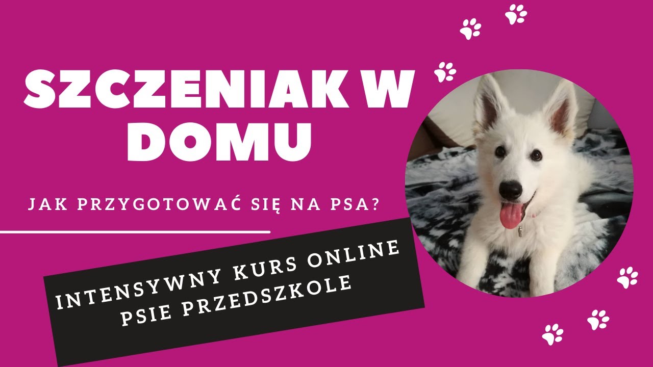 ZAPIS WEBINARU 