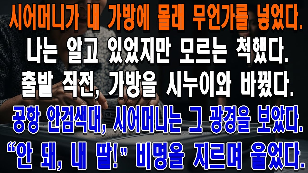 시어머니가 몰래 넣은 가방, 며느리가 시누이와 바꿔치기하다! 공항 안검색대에서 시어머니 