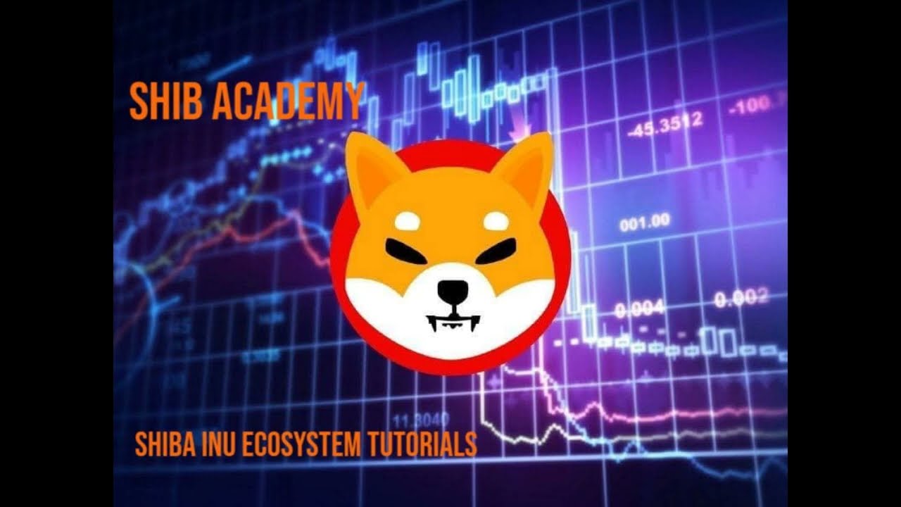 SHIB ACADEMY - Connecting Your Coinbase Wallet to ShibaSwap