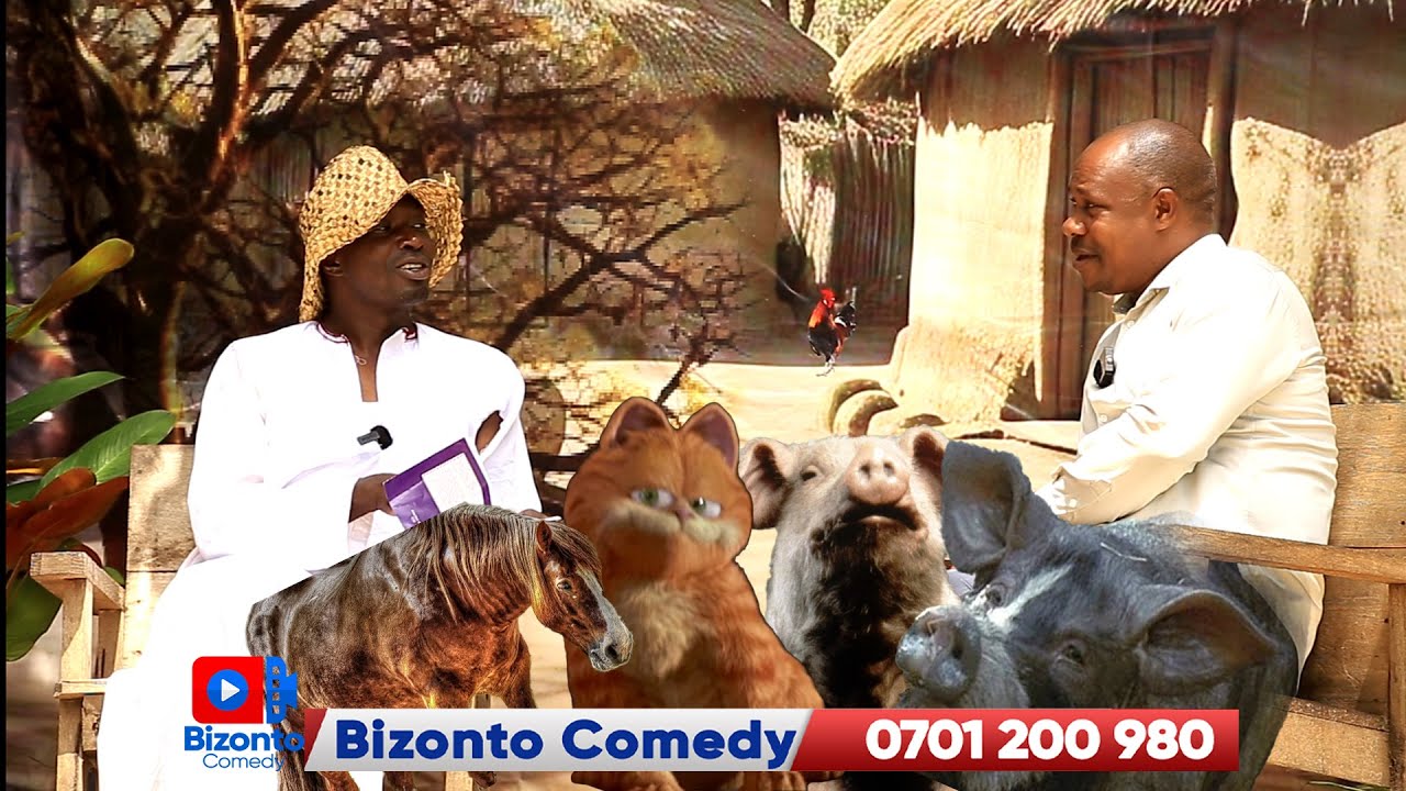 Amaka Ga Bawansolo Gatabuse Obusosoze Mu Mawanda Bususse Ssemateeka Bamwegaanye #animals #bizonto
