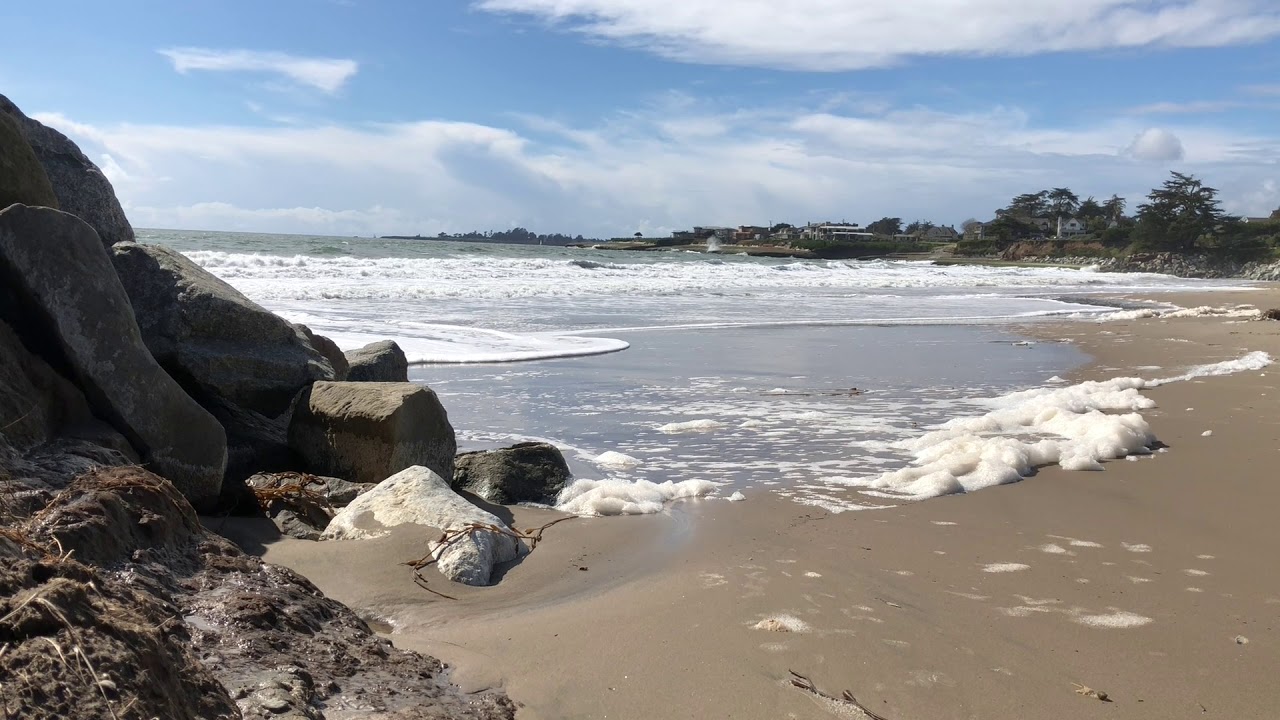 Santa Cruz Ocean Waves | Relaxing White Noise | 3.10.2019