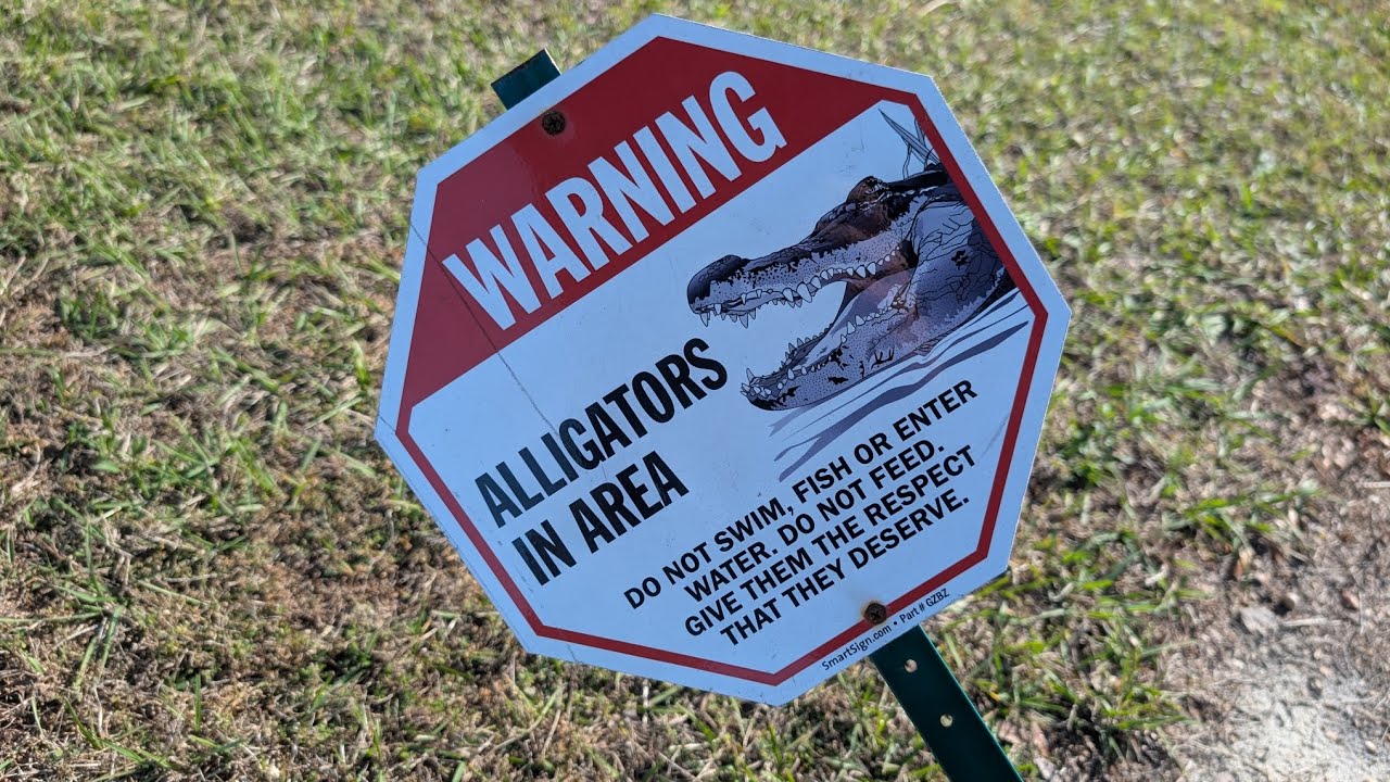 Gators, The Perfect Stick, and finally hitting 100 Subs!!