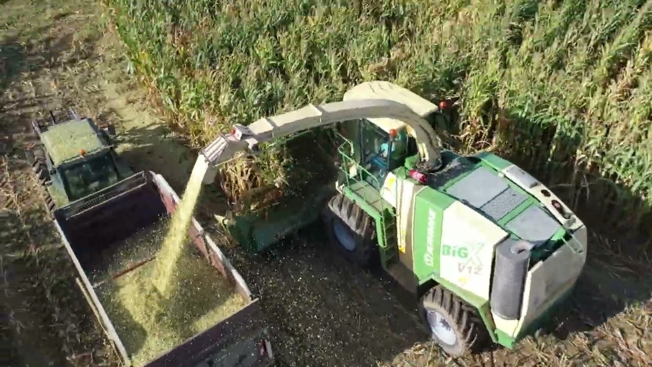 Ensilage maïs 2023 chez Mathieu