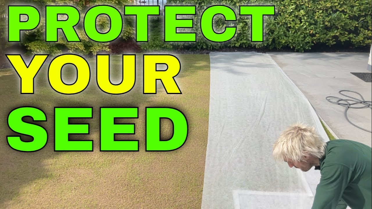 How To COVER your SEED * FLEECING your clients