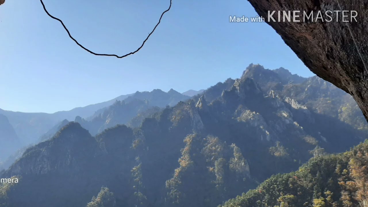 마님 연가 1탄🎵