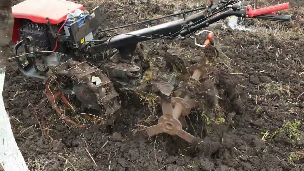 Goldoni Special cu rotosapa in livada