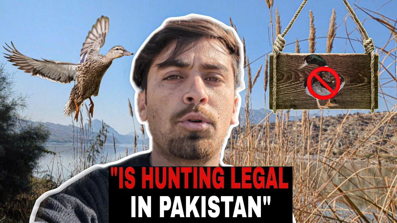 Shikar Karna Pakistan Mein Legal Hai Ya Nahi?🤔Full Vlog