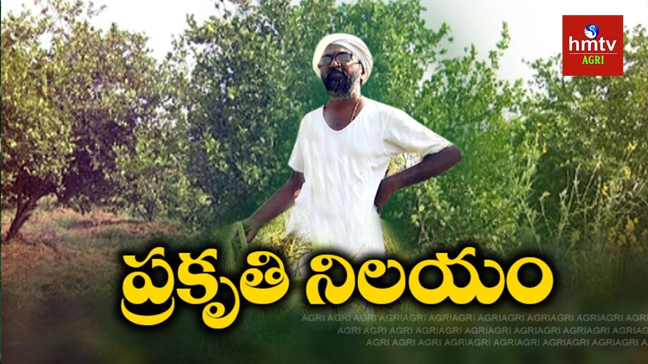 Zero Budget Natural Farming | Vikarabad Farmer Vijay Ram Natural Farming Tips | hmtv Agri