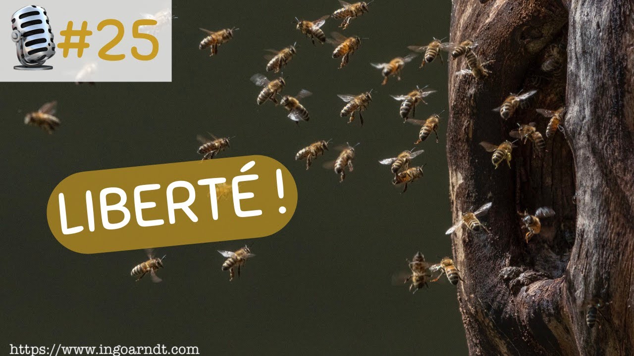 #25 – Libérons les abeilles mellifères - Free The Bees