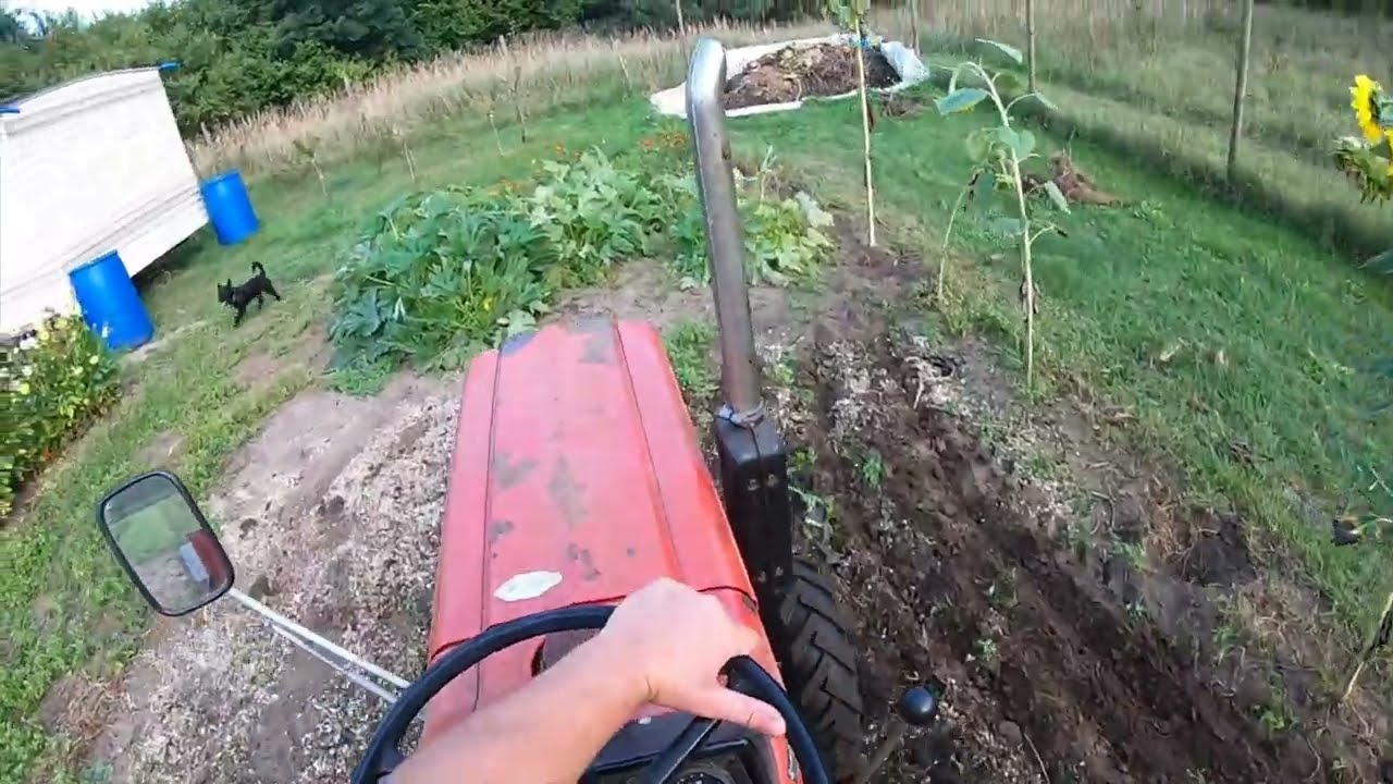 Akcja kultywator - przygotowanie do siewu poplonu Yanmar  1401D