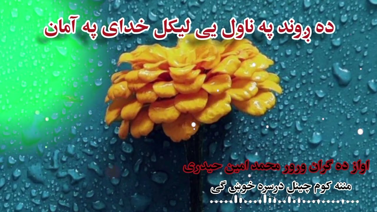 دږوند په ناول یی لیکل خدای په مان ګولان وو ده مرګه په لار ږوند ته روان اوز دی مولا امین حیدری