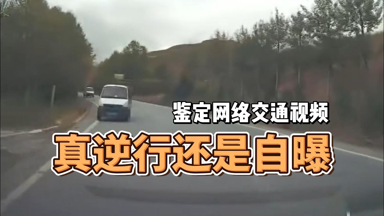 逆行还是自曝？鉴定网络交通视频