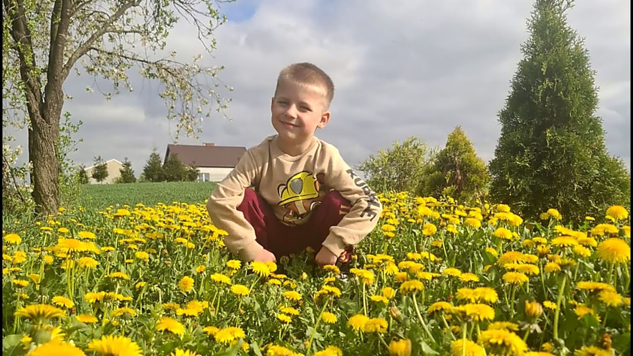 Szkolny konkurs fotograficzny Wiosna 2025 w obiektywie