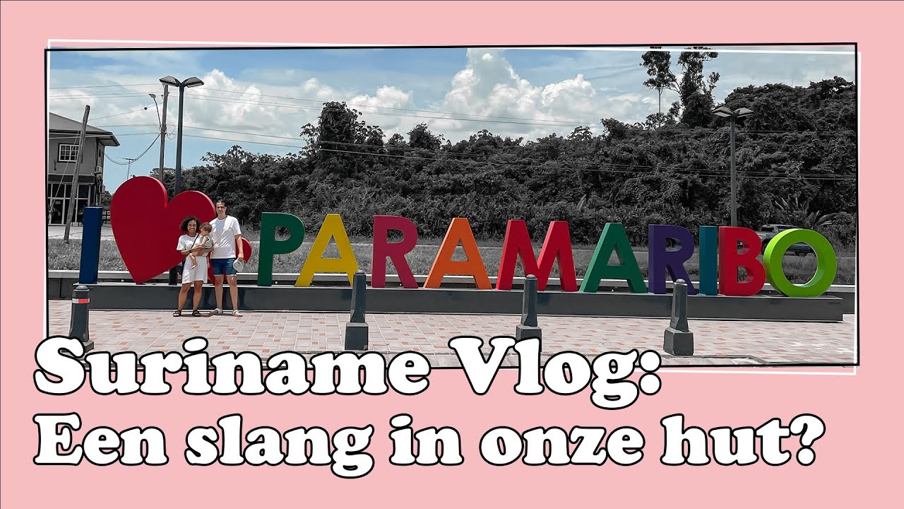 Suriname Vlog: Onze heenvlucht, Houttuyn Welness River Resort en Verloofd | AshleyRedjo