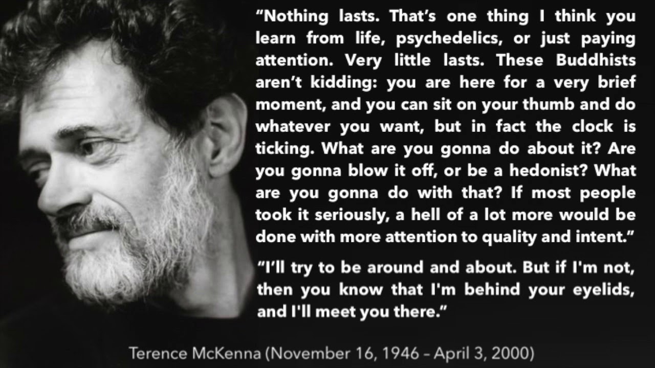 Terence McKenna - Thoughts About Death