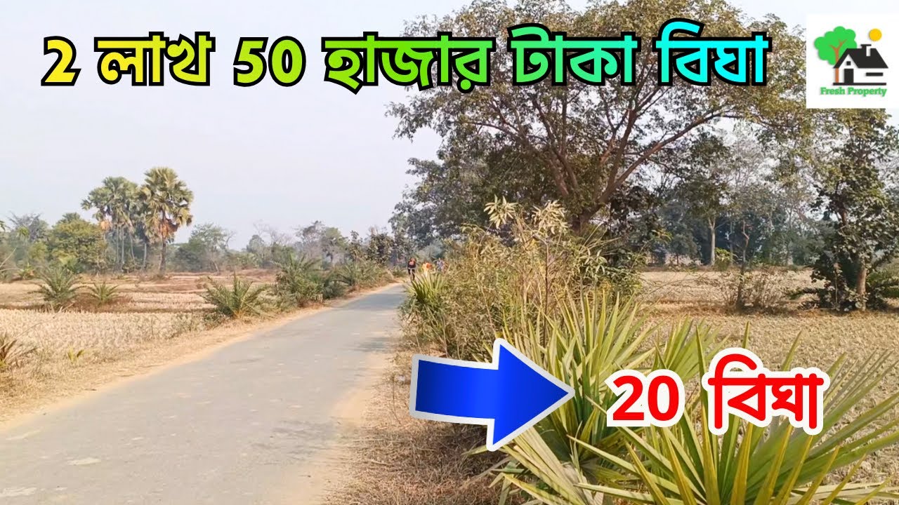 Fp - 1413 | পিচরোডের পাশে সস্তায় জমি কিনুন | 9073 145 145