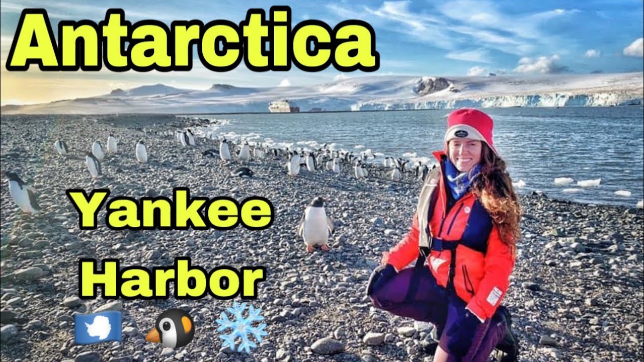 ANTARCTICA 🇦🇶 - Yankee Harbor 🐧❄️