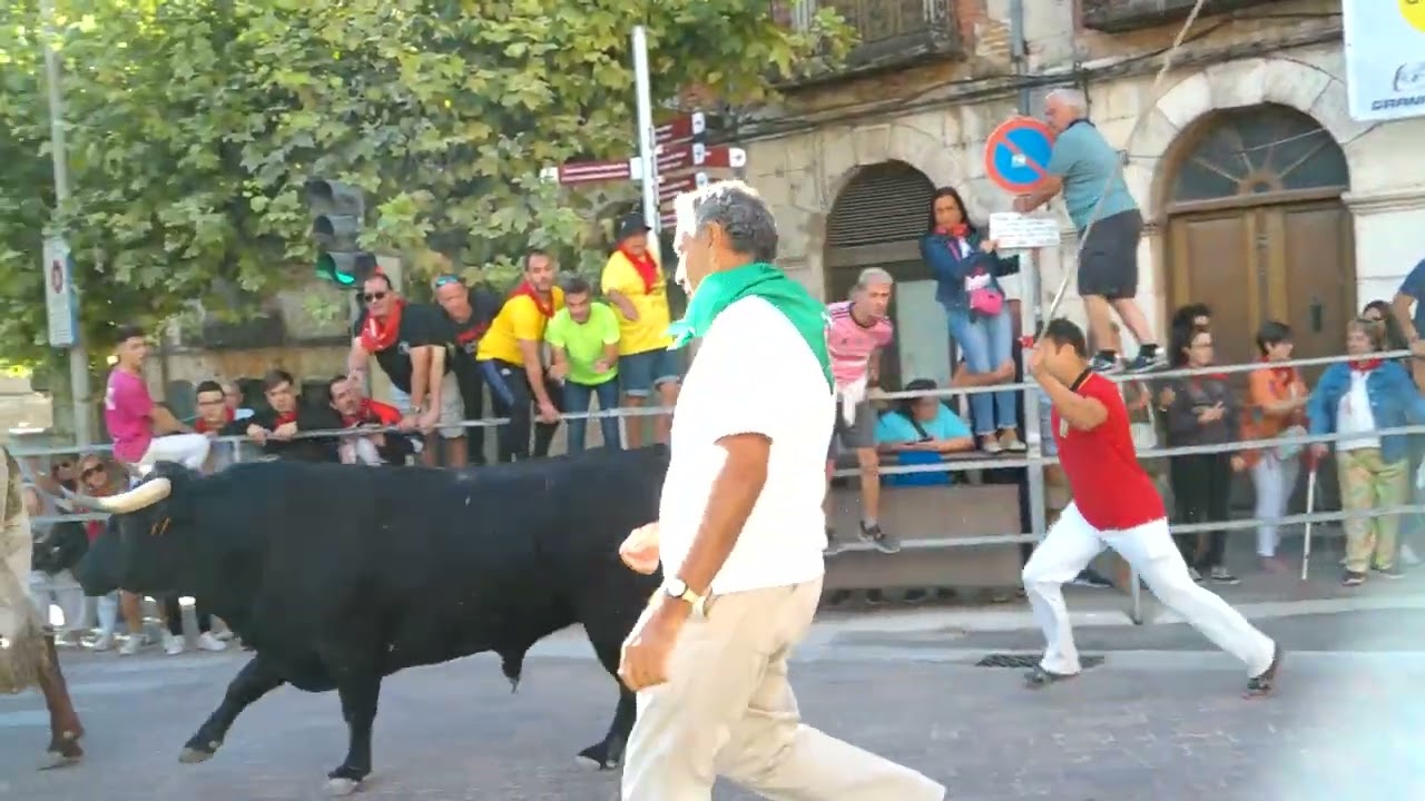Fiestas de Cuellar 2024