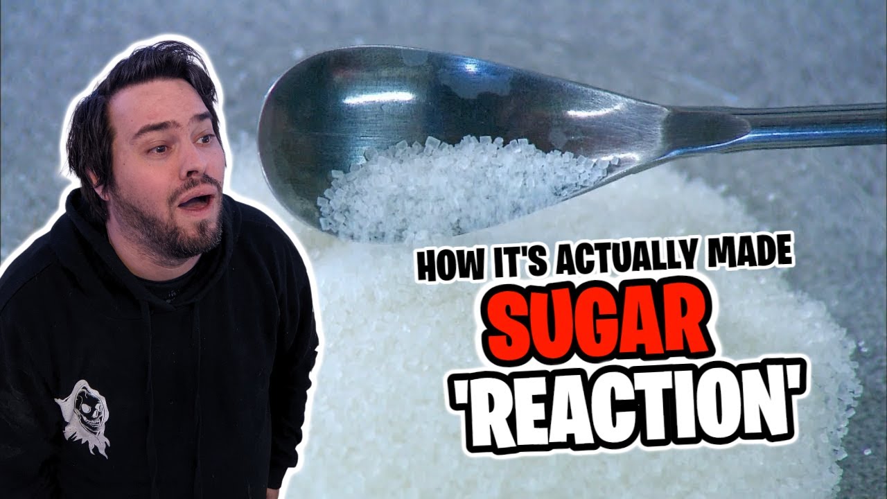 HUGGBEES REACTION! - How It's Actually Made: SUGAR