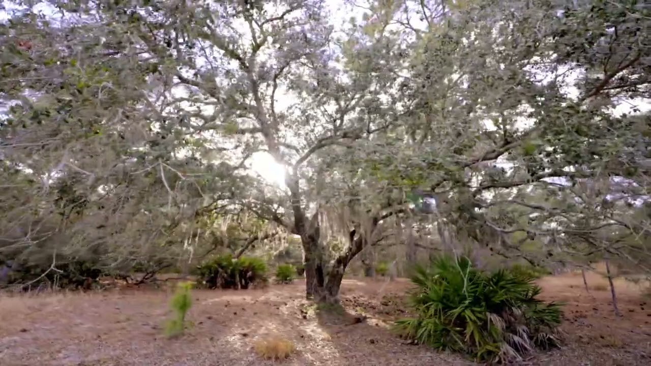 LandForSaleFlorida