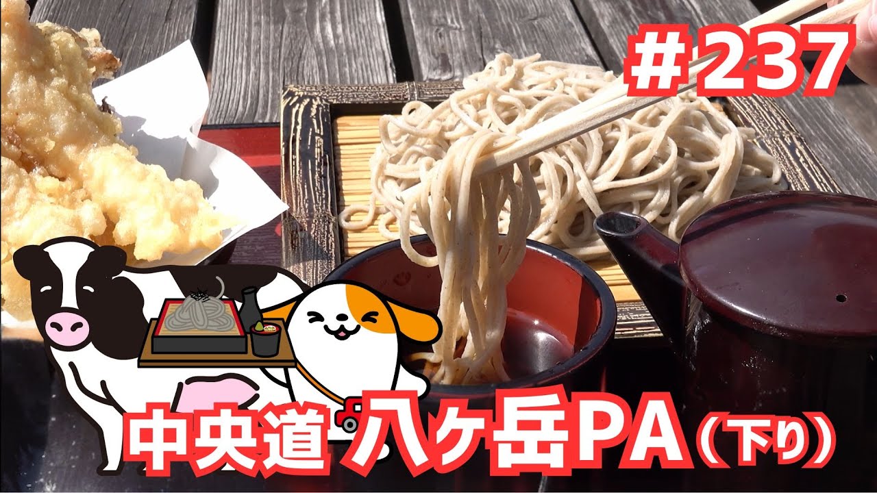 #237     みちまるくんのSA・PA紹介(中央道 八ヶ岳PA下り)
