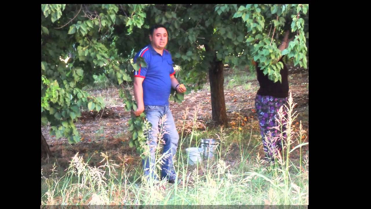 Şatırhüyük Köyü Güzel İnsanları 2012