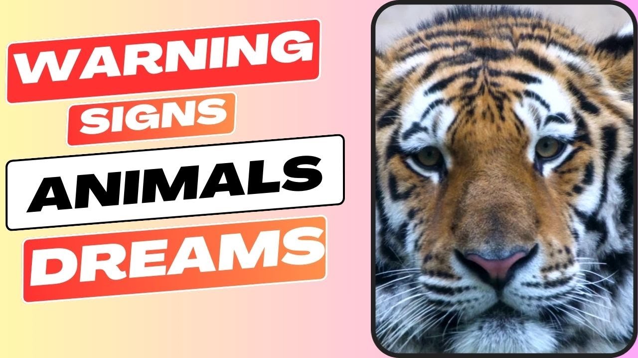10 common Animal dream interpretations and meanings